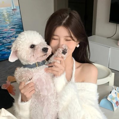 猪猪侠·一只老猪的逆袭